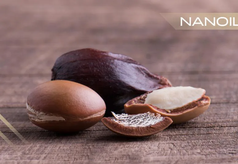 Uleiul de argan - aur lichid pentru antiîmbătrânire și protecție termică a părului