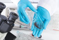 Anatomia părului. Partea a 2-a - Structura firului de păr