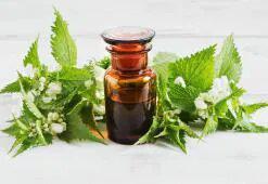 Tratamente de Scalp pentru un Păr Lung și Sănătos - Cele Mai Bune Produse Cosmetice la Domiciliu