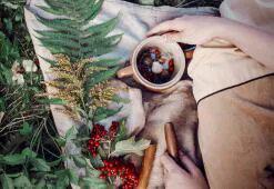 Coafurile Lumii. Partea 5: Stilul Nord-American de Îngrijire a Părului