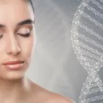 Enciclopedia Pielii Fără Cusur: CELULELE STEM