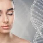 Enciclopedia Pielii Fără Cusur: CELULELE STEM